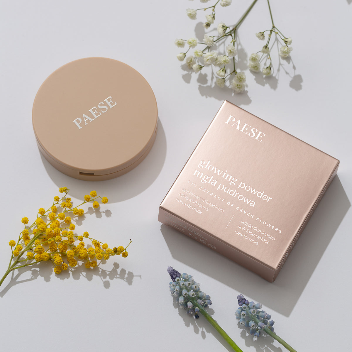 Glowing Powder, 10g, 13 Golden Beige