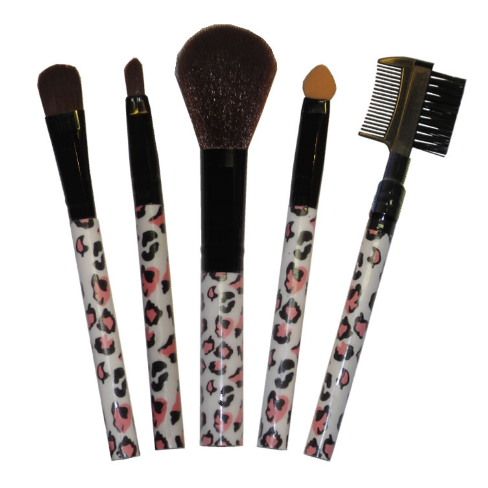 Professionelles Make-up Pinsel Set, 5-Tlg